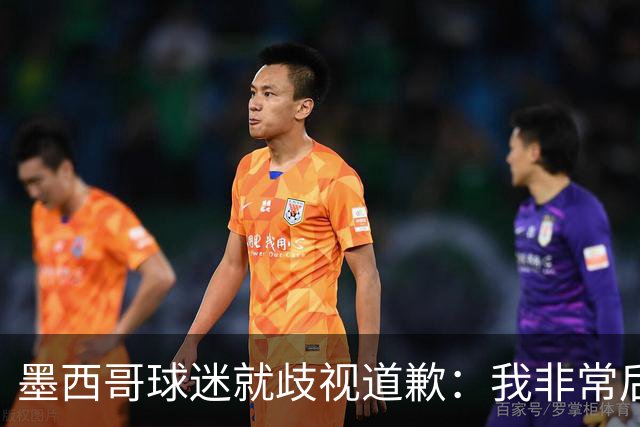 墨西哥球迷就歧视道歉：我非常后悔，已辞去工程师协会职务